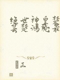 绝世神皇楚风楚芸楚鸿飞最新章节