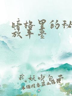 暗格里的秘密播放平台