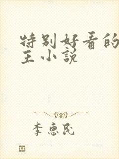 特别好看的单女主小说