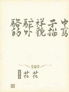 骆驼祥子中虎妞的外貌描写原文