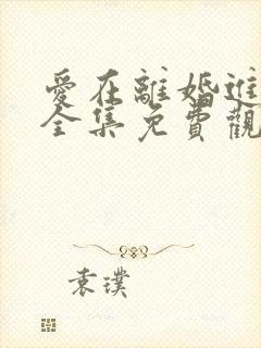 爱在离婚进行时全集免费观看