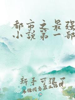 都市之最强狂兵小说第一部