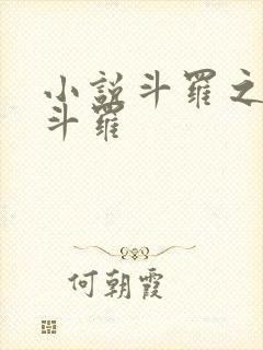 小说斗罗之双子斗罗