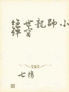 绝世龙帅小说无弹窗