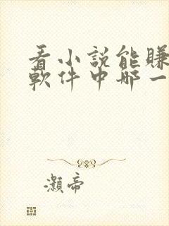 看小说能赚钱的软件中哪一个最好?