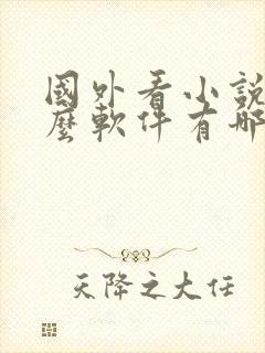 国外看小说用什么软件有哪些