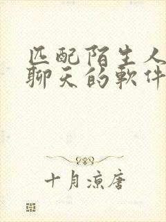 匹配陌生人语音聊天的软件