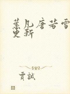 叶凡唐若雪王婿更新