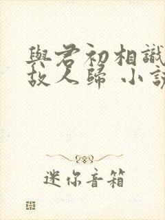 与君初相识犹如故人归 小说