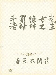 斗罗绝世我霍雨浩精神之主免费阅读