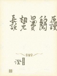 长相思的原著小说免费阅读