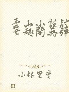 青山小说肘子新笔趣阁无弹窗