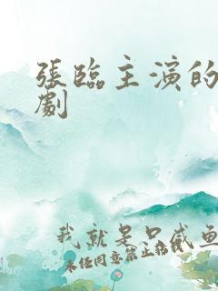 张临主演的谍战剧