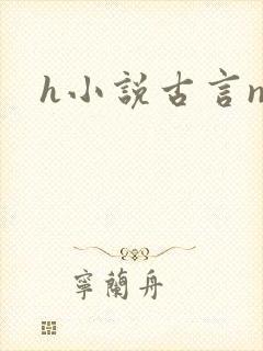 h小说古言np