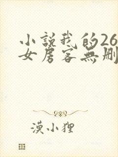 小说我的26岁女房客无删减版