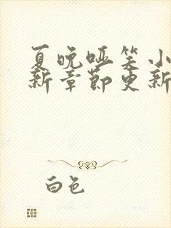 夏晚哑笑小说最新章节更新内容