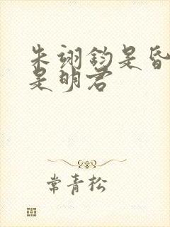 朱翊钧是昏君还是明君