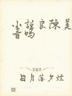 小说良陈美锦好看吗