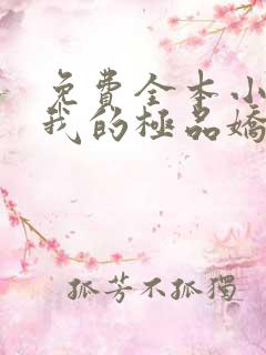 免费全本小说,我的极品娇妻