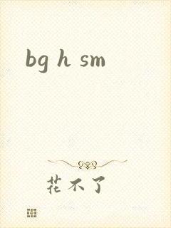 bg h sm