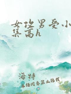 女攻男受小说合集高h