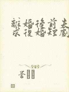 离婚后前夫哭着求复婚短剧在线观看全集