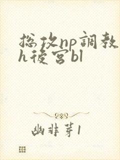 总攻np调教高h后宫bl