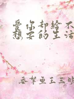 爱你却给不了你想要的生活