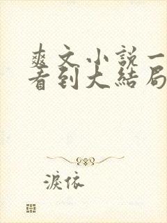 爽文小说一口气看到大结局