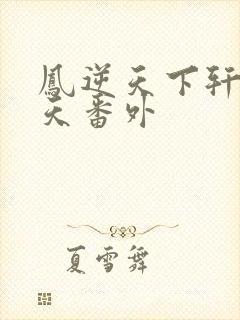 凤逆天下轩辕问天番外