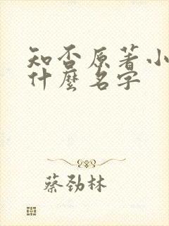 知否原著小说叫什么名字