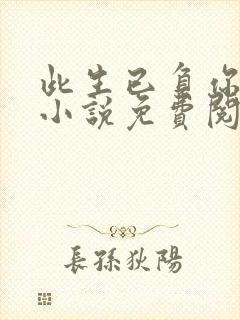 此生已负你情深小说免费阅读