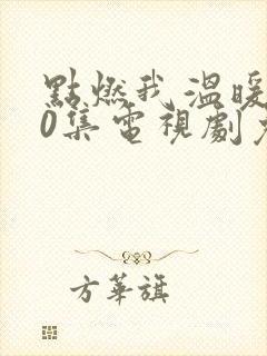 点燃我温暖你40集电视剧免费看全集