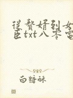 从赘婿到女帝宠臣txt八零电子书