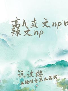 高h爽文np肉辣文np