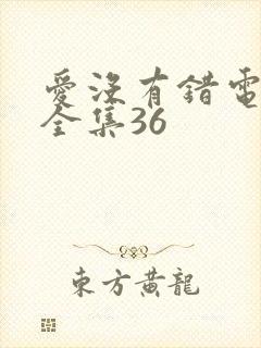 爱没有错电视剧全集36