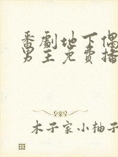 番剧地下偶像双男主免费播放