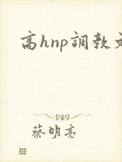 高hnp调教文