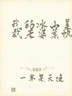 我的冰山美女总裁老婆叶帆