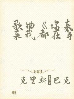 歌曲《你来与不来我都在等你》