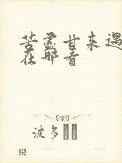 苦尽甘来遇见你在哪看