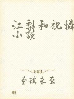 江梨和祝怜青的小说