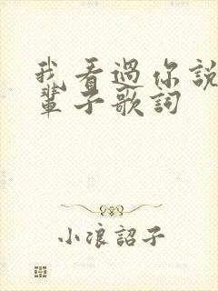 我看过你说好一辈子歌词