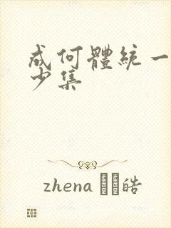 成何体统一共多少集