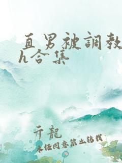 直男被调教成受h合集