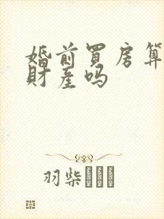 婚前买房算共同财产吗