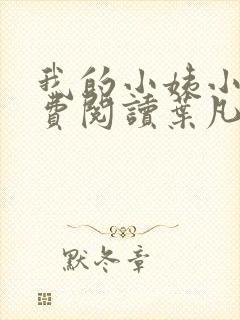 我的小姨小说免费阅读叶凡