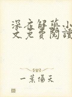 深夜解药小说全文免费阅读无弹窗