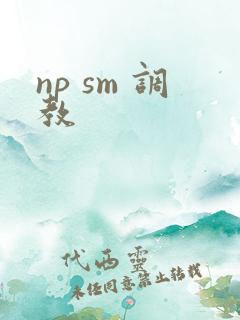 np sm 调教