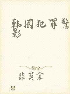 韩国犯罪惊悚电影